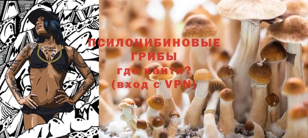 ALPHA PVP Баксан